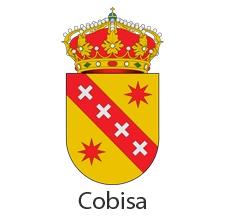 Ayuntamiento de Cobisa Escudo institucional del Ayuntamiento de Cobisa